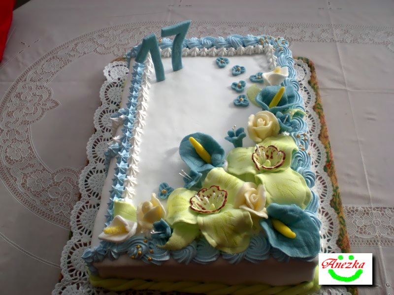 CIMG5062 (Kopírovať).JPG