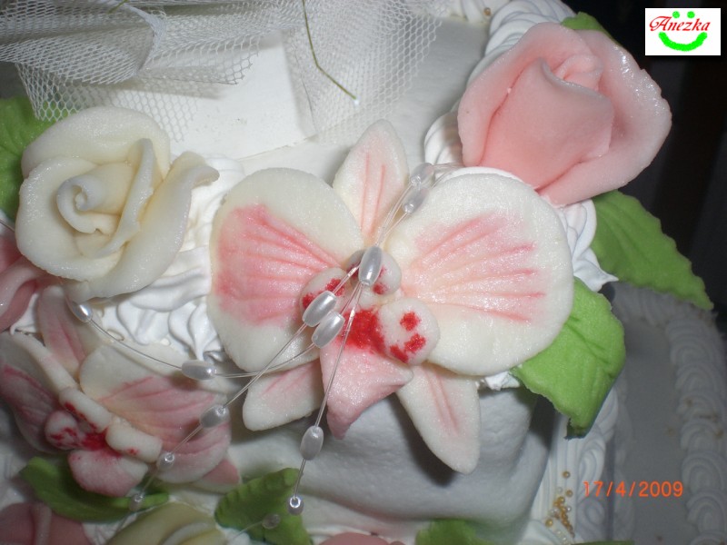 CIMG5216 (Kopírovať).JPG