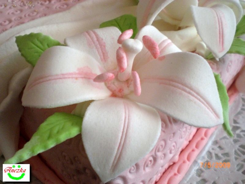 CIMG5492 (Kopírovať).JPG