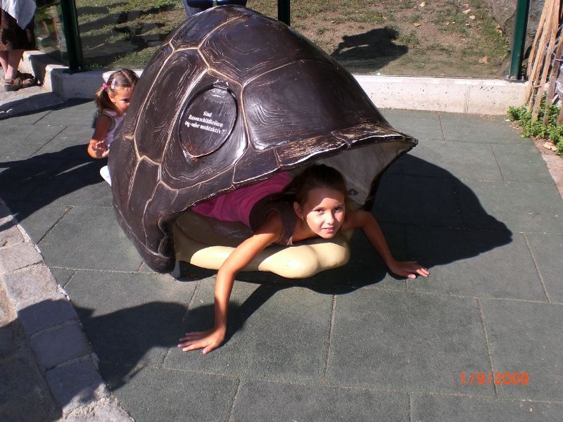 CIMG6492 (Kopírovať).JPG