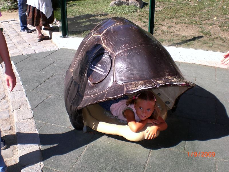 CIMG6493 (Kopírovať).JPG