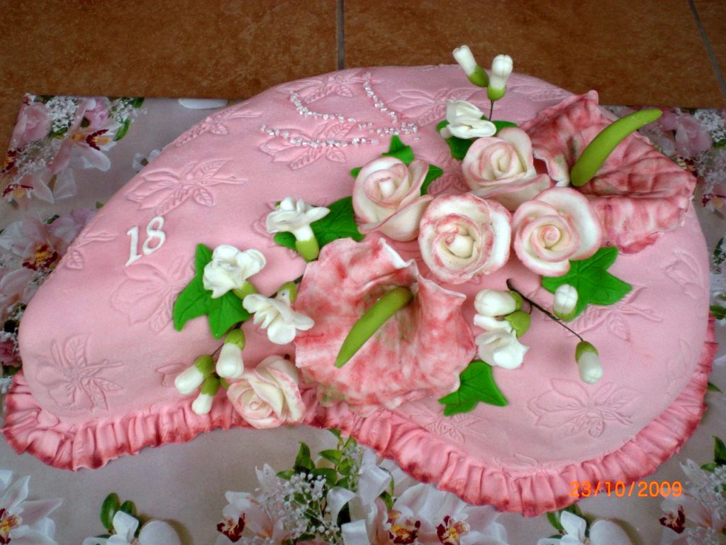 CIMG6819 [1024x768].JPG