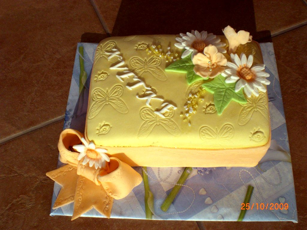 CIMG6837 [1024x768].JPG