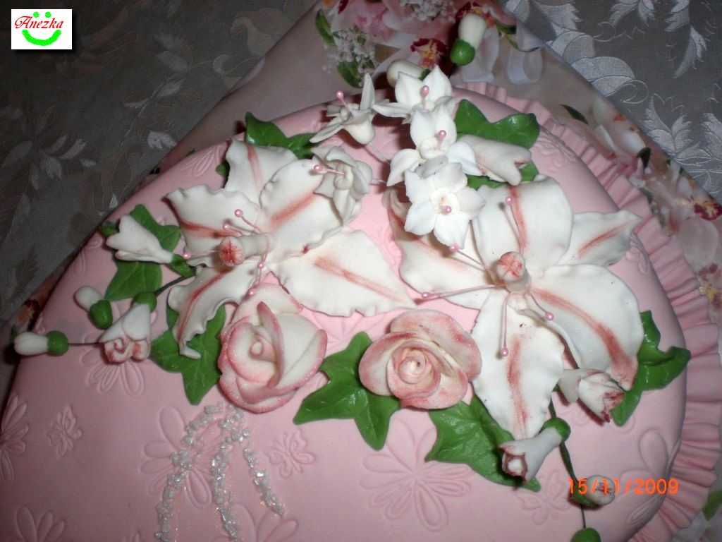 CIMG6948 [1024x768].JPG