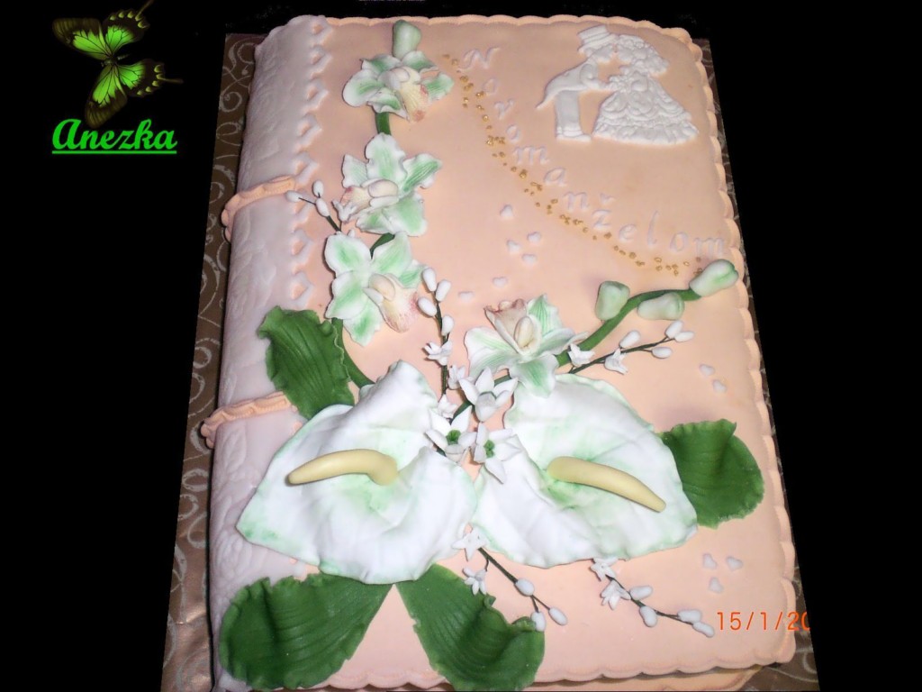 kniha [1024x768].jpg