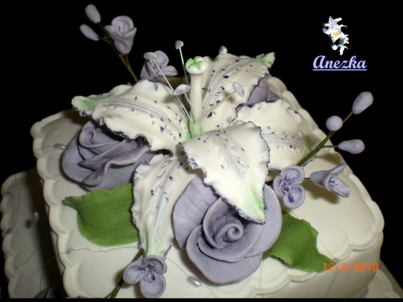 CIMG7353-det [800x600].jpg